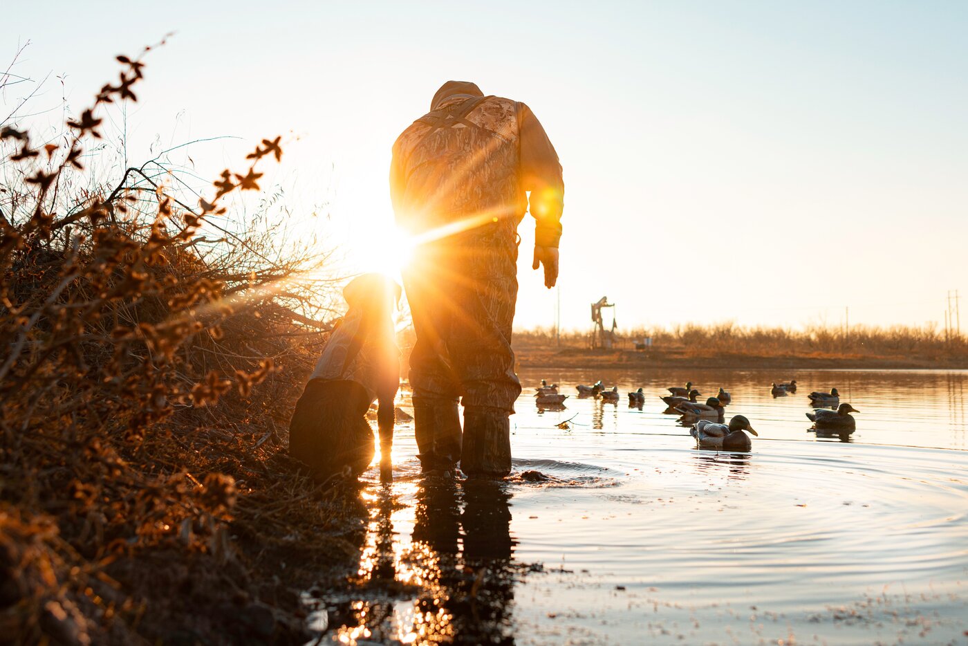 A hunter and dog at sunset, Dry Creek Outfitters