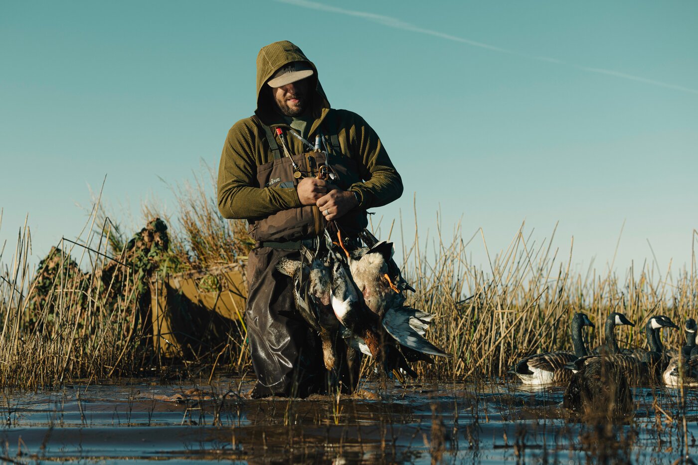 Ducks in hand in the marsh