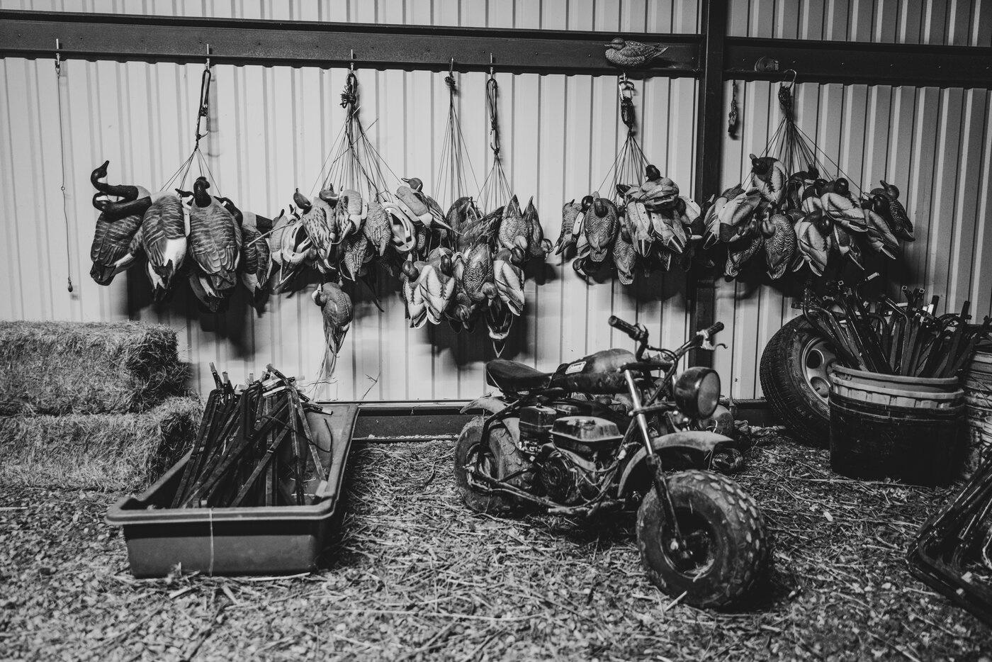 A limit, in black and white