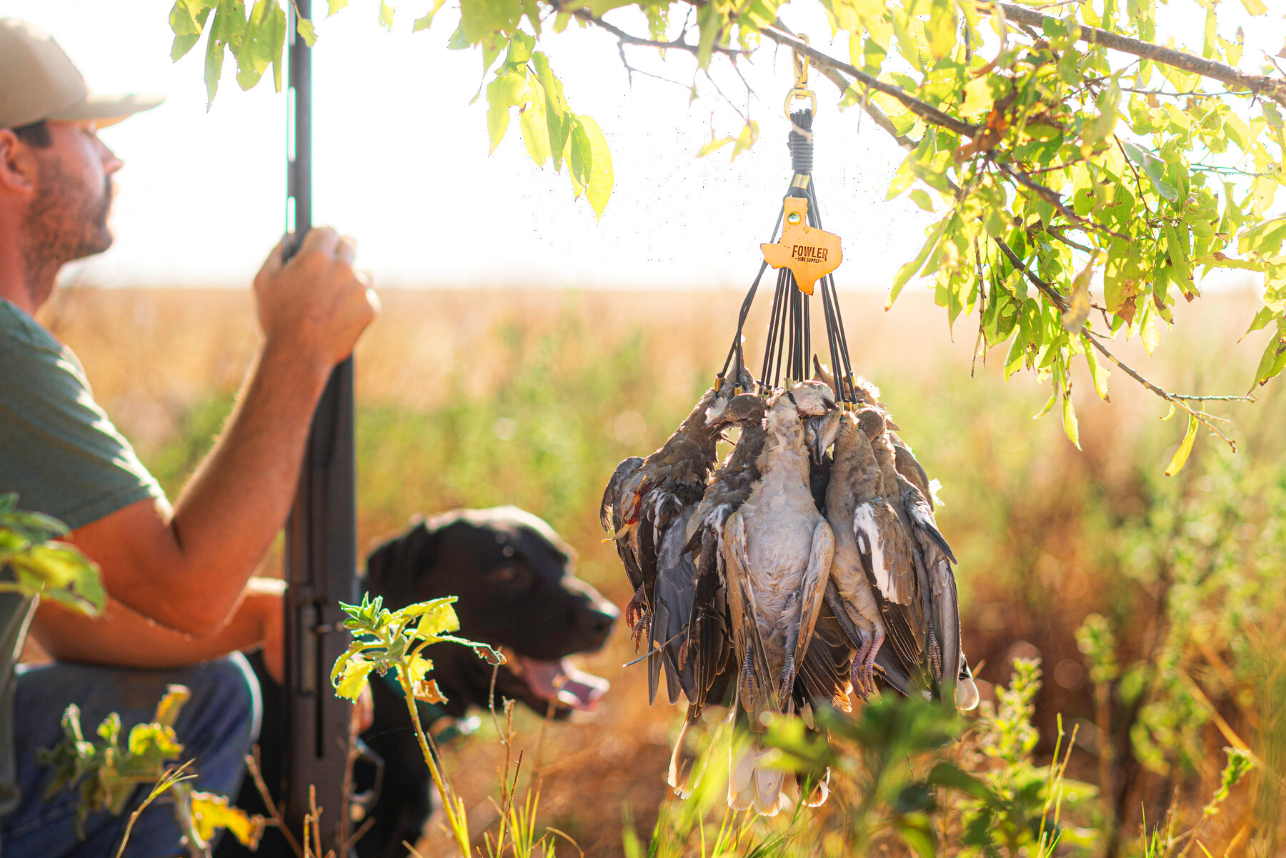 A full strap of doves hanging in the shade with a hunter and his dog