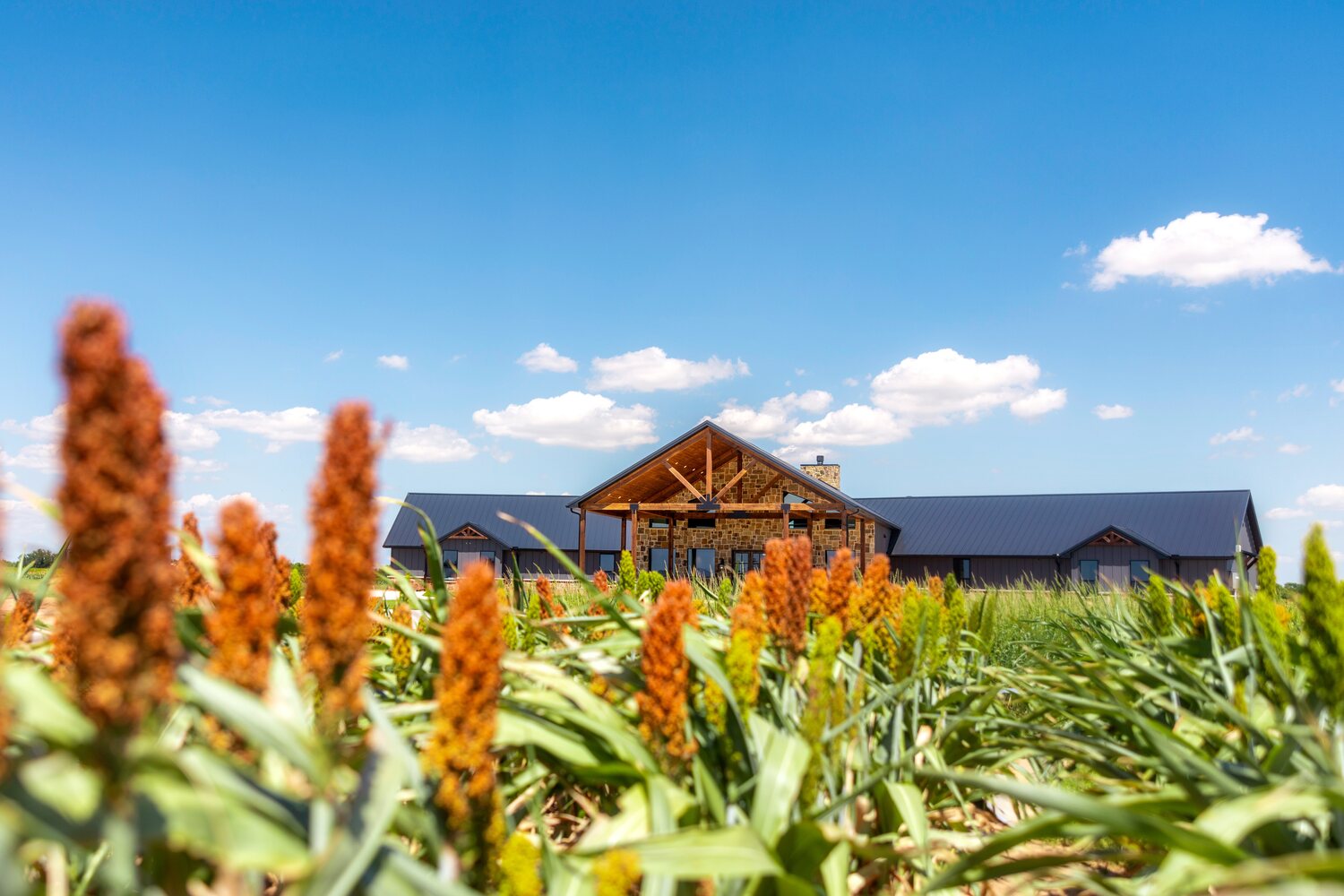 Pecan Creek Lodge on the North Texas prairie